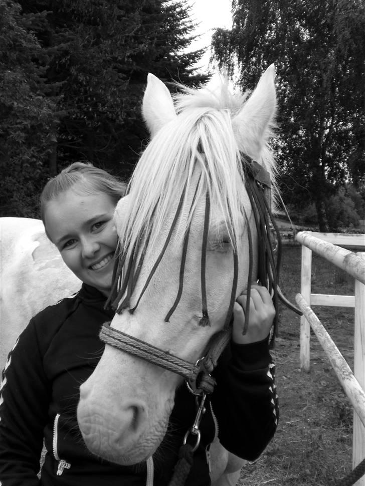 Anden særlig race Shadow *SOLGT* billede 18