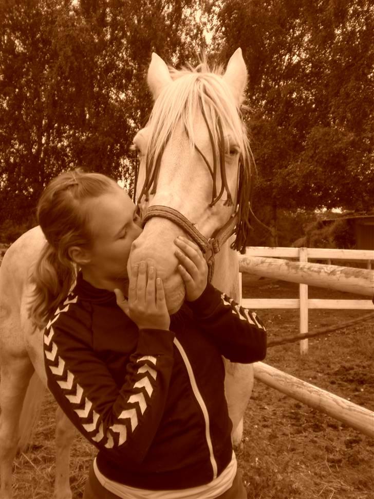 Anden særlig race Shadow *SOLGT* billede 19