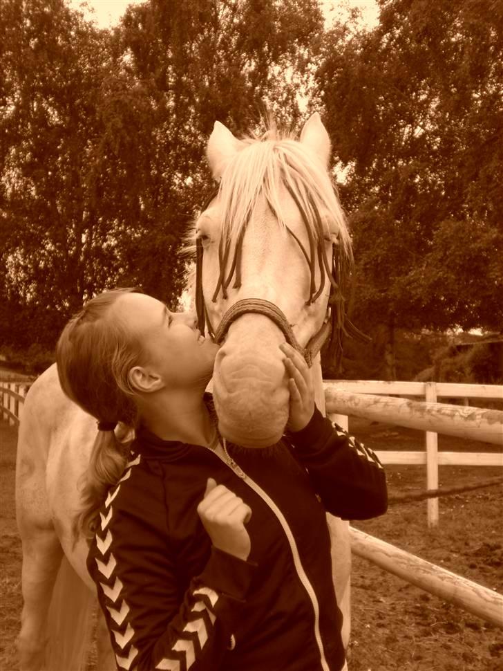 Anden særlig race Shadow *SOLGT* billede 20