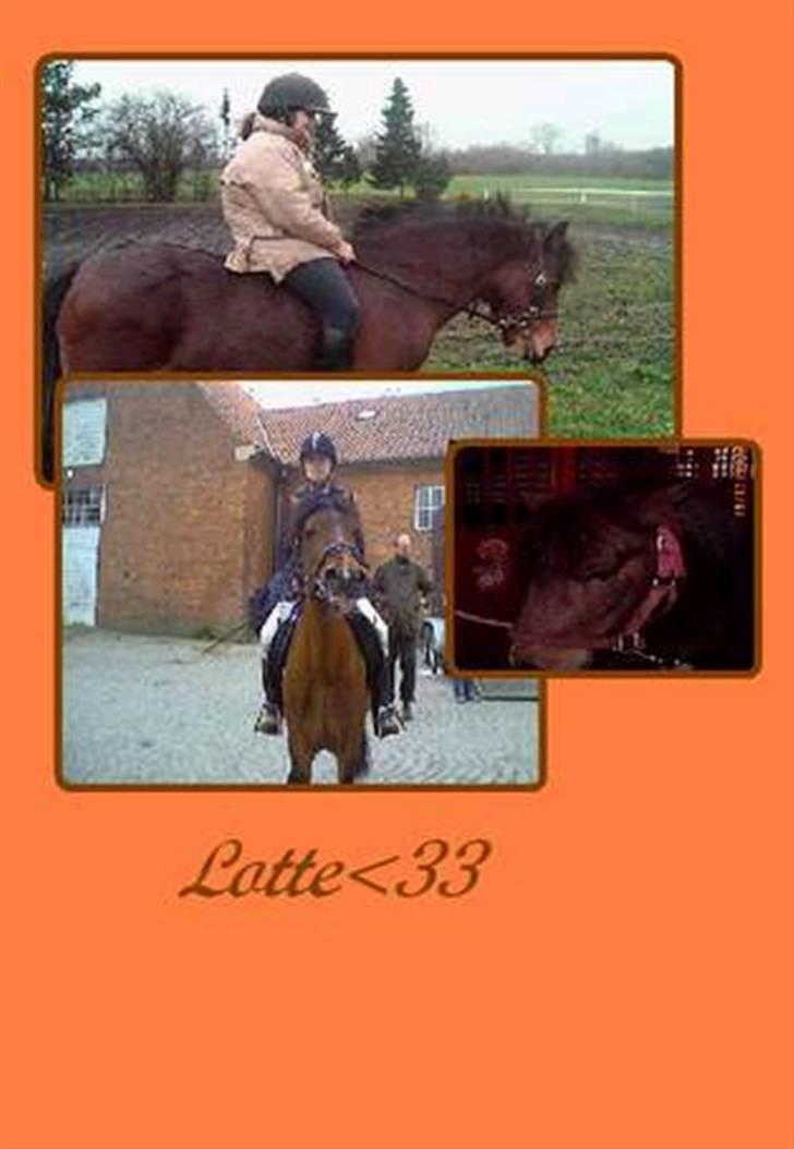 Anden særlig race Lotte R.I.P - Blande billeder af Lotte Savner diiq skat <3 billede 19