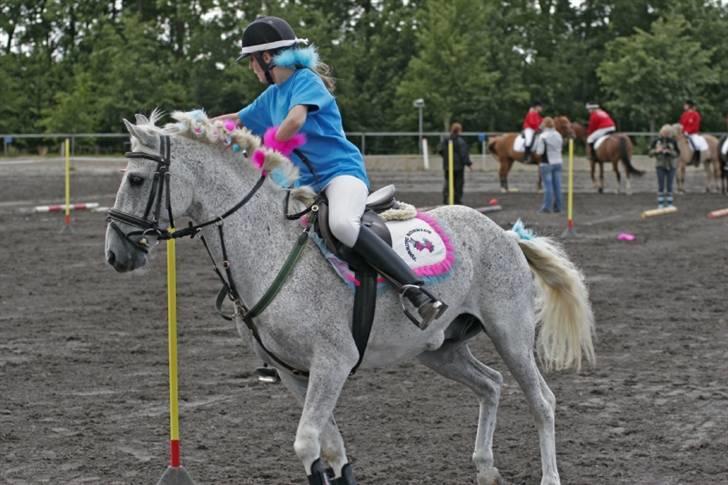 Anden særlig race Oliver*R.I.P -17/12 2007* - Mig og Tolle til landsfinalerne 2007 :) slalom billede 9