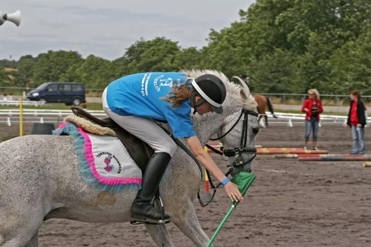 Anden særlig race Oliver*R.I.P -17/12 2007* - Mig og Tolle i Flagstafet :) vi griber flaget i fuld galop :P (til landsfinalerne 2007) billede 10