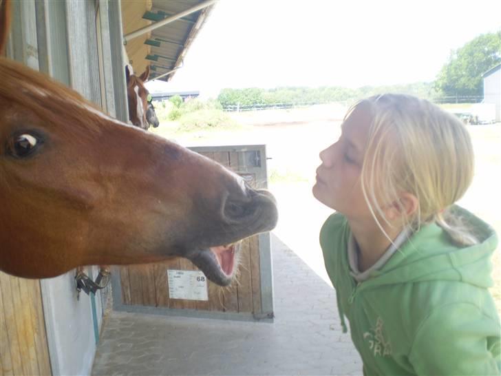 Anden særlig race Lukas - kys kys uhuu... en lille mysser <33 billede 7