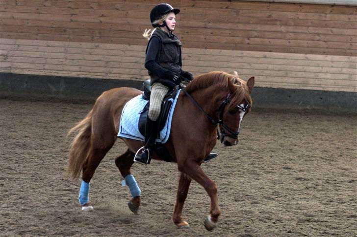 Anden særlig race Lukas - HEEH, han er bare sååå smuk, tjek lige hans muskler d: billede 8