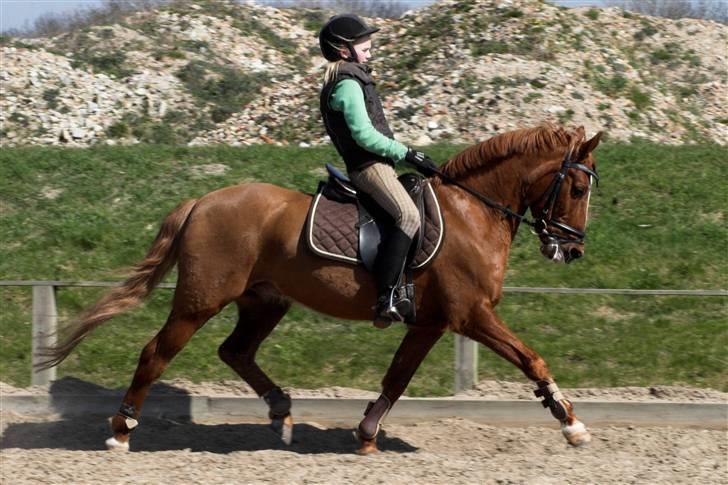 Anden særlig race Lukas - En øgning, mega sød den dag <3 billede 9