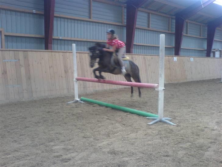 Anden særlig race Zorro *** SOLGT *** - Zorro :-) billede 10