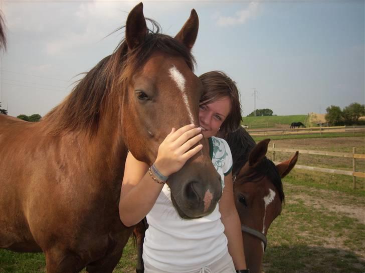 Anden særlig race Zantox billede 14