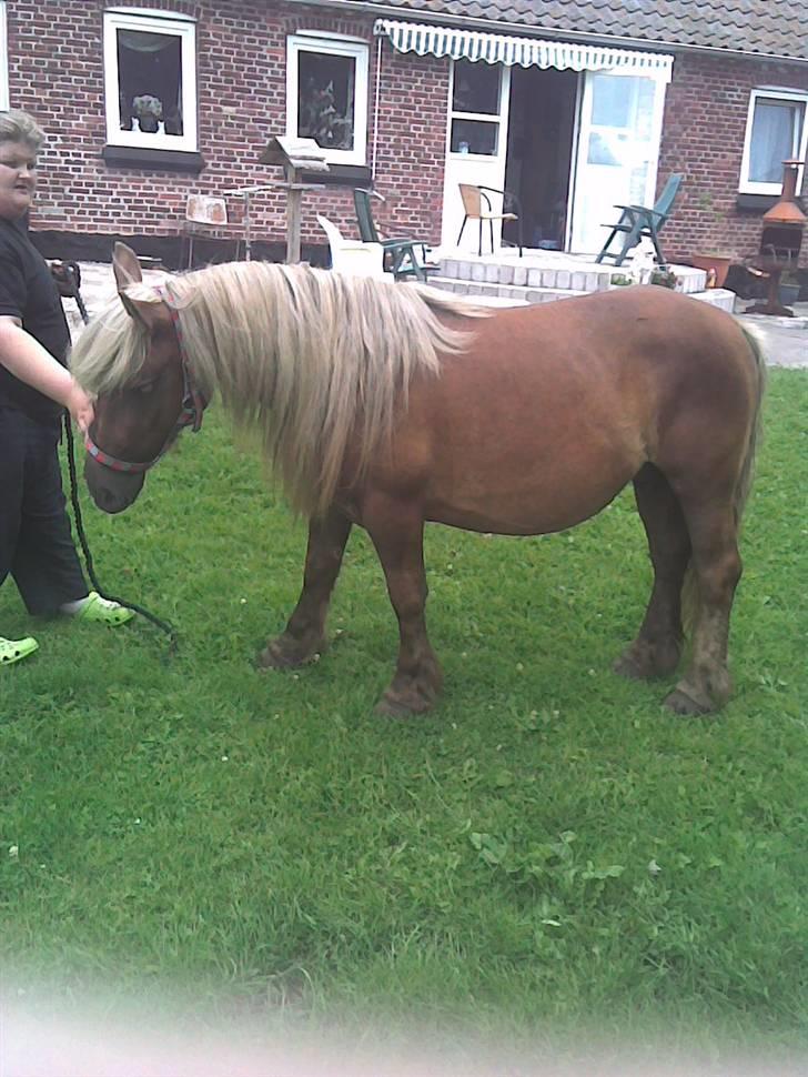 Anden særlig race Josefine - hvor lang tid skal vi stå her???? billede 1