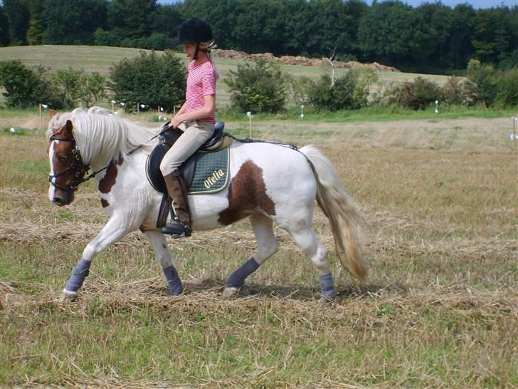 DSP Pedersmindes Ofelia<3 - I dont care what you think!, Foto: Far. 2007 billede 18