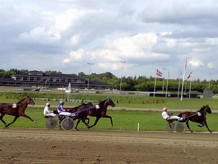 Traver Nemo *Solgt* - Nemo i prøveløb d. 14/8-2007. billede 17