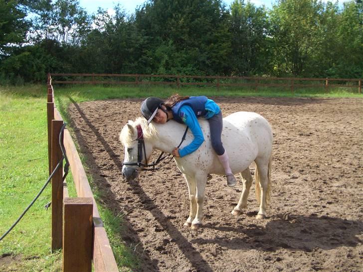 Anden særlig race Dalle - Elsker diiq min pony :)Foto: Mia billede 8