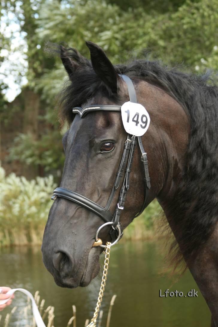 Frieser Thealien billede 4