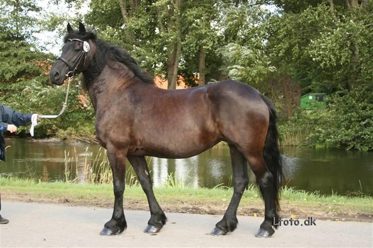 Frieser Thealien billede 5