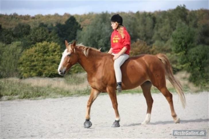 Anden særlig race Walk Of Fame *REST IN PEACE* - I love you.<3 billede 6