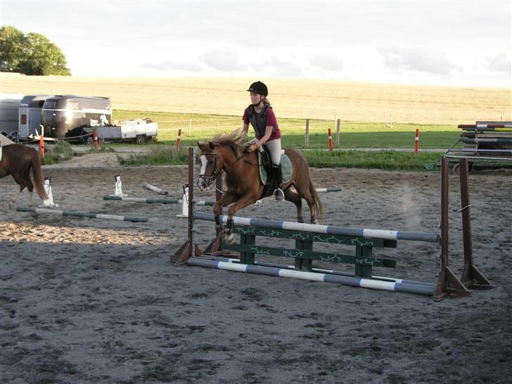 DSP Fire In The Sky (Død) - I love jumping!! ^^ billede 6