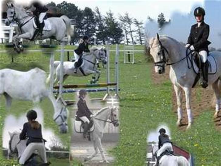 Anden særlig race siox billede 20