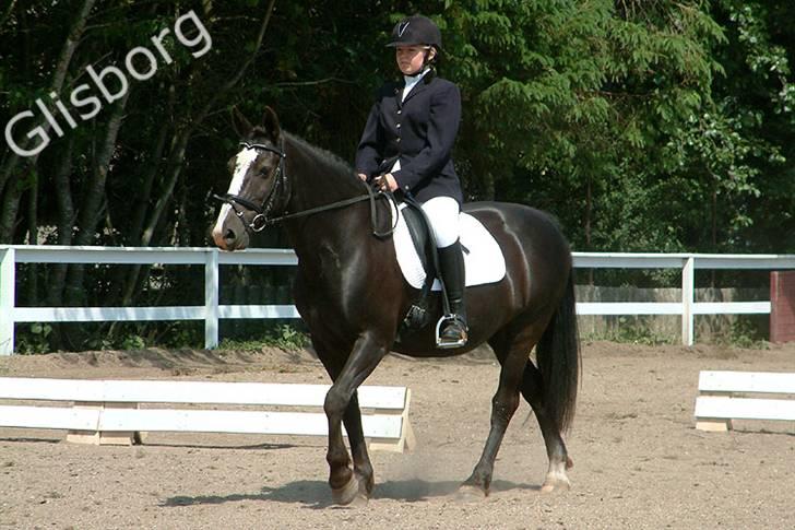 Anden særlig race Samba - stævnet.. billede 15