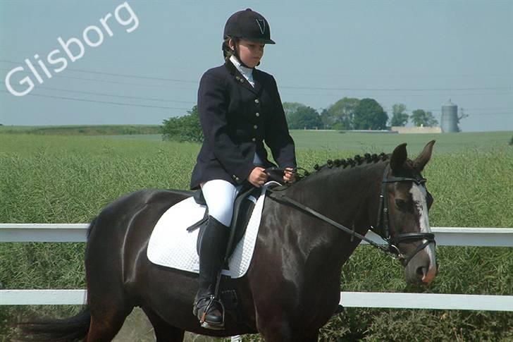 Anden særlig race Samba - min mor fandt billederne et sted på nettet, vi ved ikk hvem der har taget dem.. billede 17