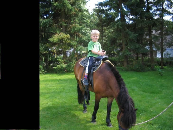 Anden særlig race jolly *så savnet* - min lille fætter på jolly de hygger billede 15