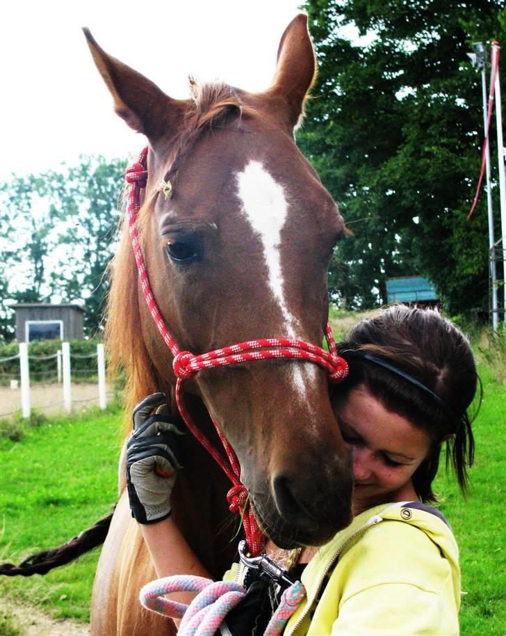 DSP Firhøjs Nobi - min engel - ´ jeg var altid glad hos dig mor ! , du gjorder at jeg følte mig fri ..  billede 10