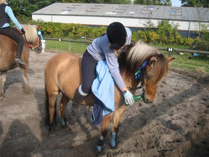 Anden særlig race Thor<3 Putti  - lidt vand efter en hård spring dag :) billede 14