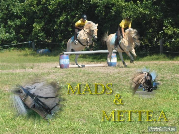 Fjordhest Mads (solgt) - ALLE BILLEDER ER PRIVATE OG SKAL NETOP IKK KOPIRES !!!!!!! Tak !  det her billede er et min veninde har lavet til mig... (det er flot) billede 19