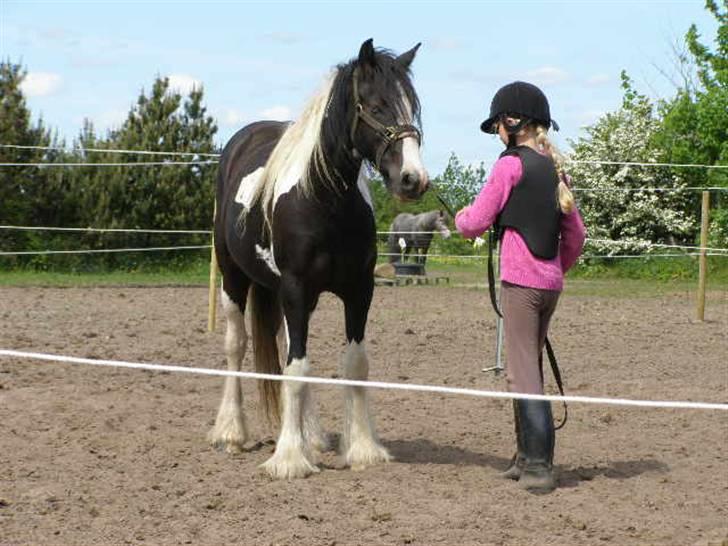 Tinker Louise SOLGT billede 2