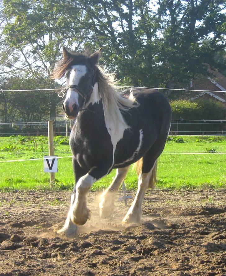 Tinker Louise SOLGT billede 4