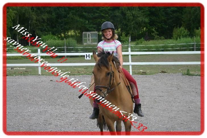 Anden særlig race °º• Frk Smilla •º°- SOLGT billede 13