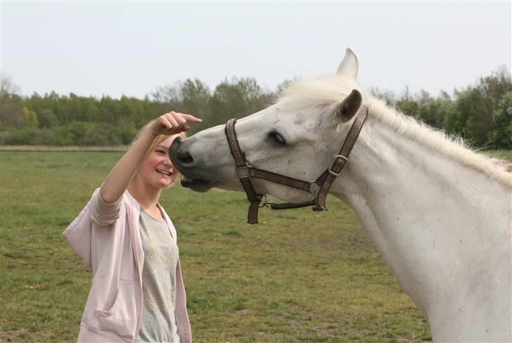 Anden særlig race Silver Star <3 R.I.P :( - 11. 3/5-09 min evige optur, du kunne altid få mig til at smile (: billede 11