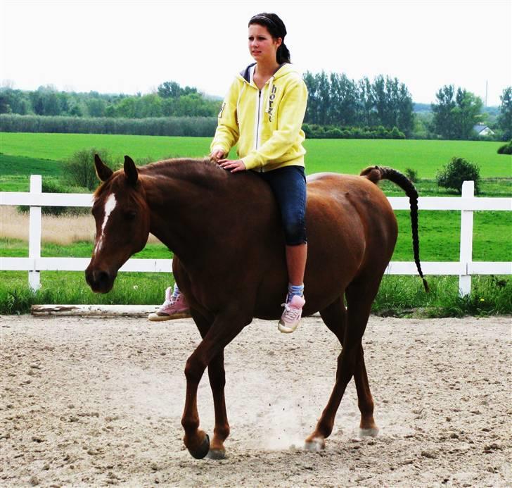 DSP Firhøjs Nobi - min engel - jaa, man kalder os godtroende ;d <3 men det er altså bare kærlighed? billede 11