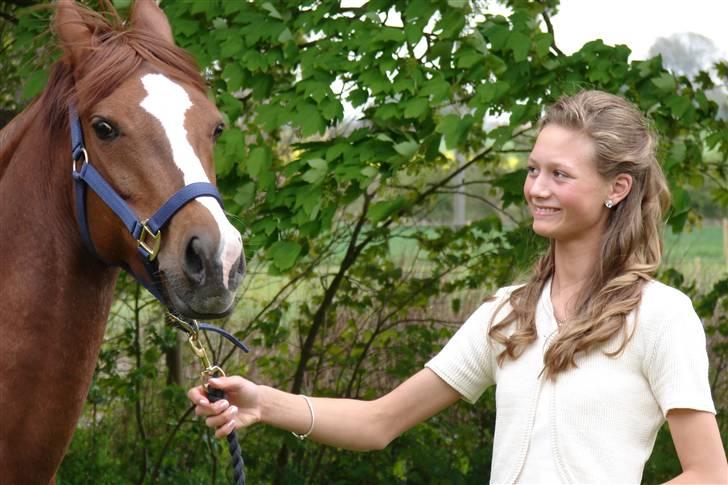 Welsh Pony (sec B) Mayke (Solgt) - til min konfi Mayka var ikke så tryk ved det hele der var så mange der ville tage billeder og så var der en stor gril tændt hun kunne lugte :D billede 7