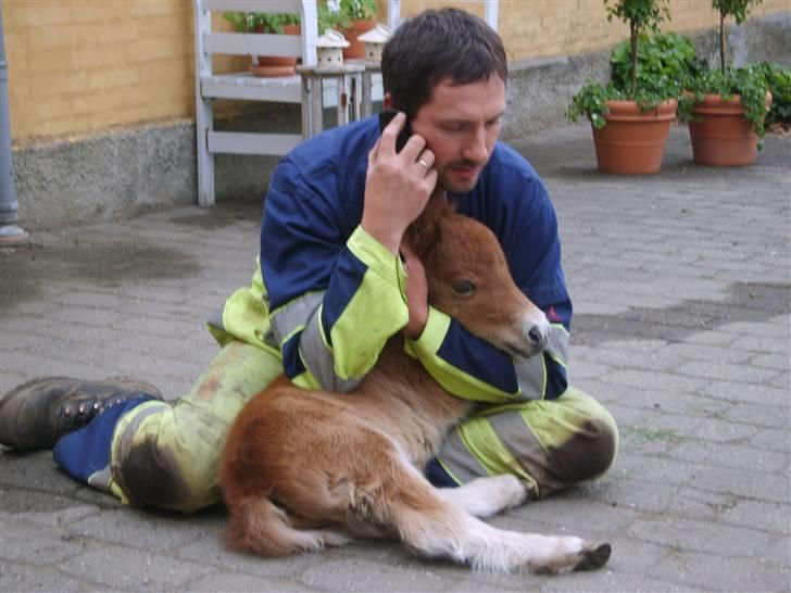 Miniature *Oliver Vestergaard* - Oliver og min far. (: billede 6