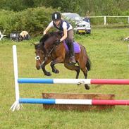 Anden særlig race Filur (solgt!)