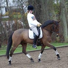 New Forest Smedhults Zippa 