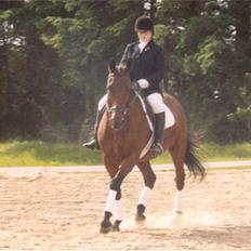 Anden særlig race Samson (R.I.P)