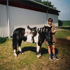 Anden særlig race Whisky(Døde d. 28 okt 05)