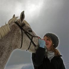 DSP Happy Meal (Mille)