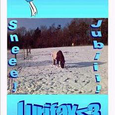 Anden særlig race Lurifax <3hvil i fred <,3