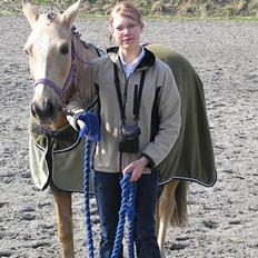 Anden særlig race Goldie