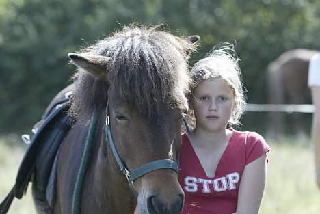 Islænder Odin fra Grønfeld - Min lillesøster og Odin efter en lang og meget hård stævneweekend... billede 3