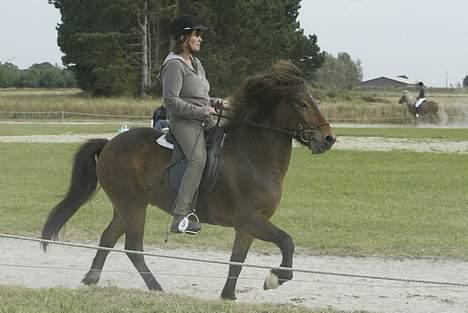 Islænder Odin fra Grønfeld - Odin i tølt igen - samme stævne billede 5