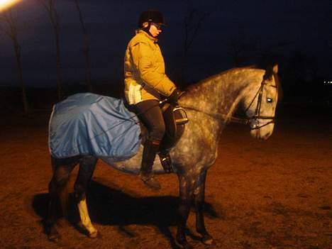 Anglo Araber (AA) Død Fancy - Nu er hun fin... en tur på banen, er altid rart. billede 5