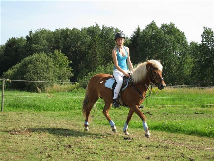 Islænder Tyra Fra Stårup  - 8. august 09 billede 10