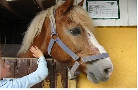 Jyde Gunter død:´( - smukke gunter i sin boks .. han er ægte jyde billede 1