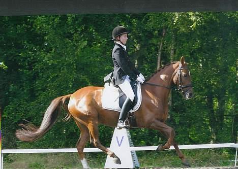 Tysk Sportspony *Minusch* - Her er hun igen til landsstævne i Birgittelyst. Rigtig sin galop :) billede 3