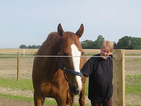 Frederiksborg Dartagnan ( dalle ) billede 9