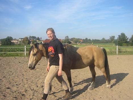 Welsh Pony af Cob-type (sec C) *Bugsy* - Efter løssprining skidter vi af :-) billede 2