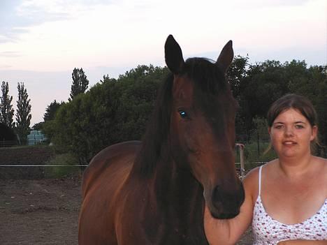 Fuldblod (XX) Dark Amigo (aflivet) - Mig og Amigo taget idag den 15 juli på folden billede 7