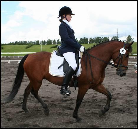 New Forest Smedhults Zippa  - Dette er os til Distriktsmesterskabet 2005, hvor vi traver...... billede 2